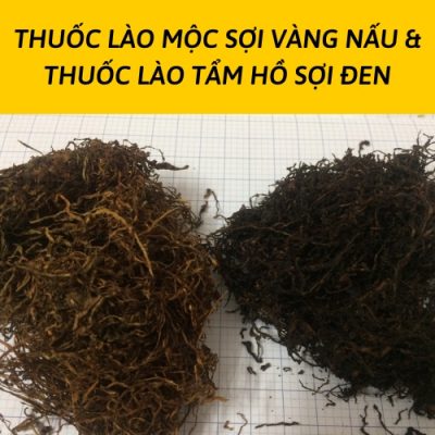 THUỐC LÀO SẠCH THUỐC LÀO TẨM HỒ