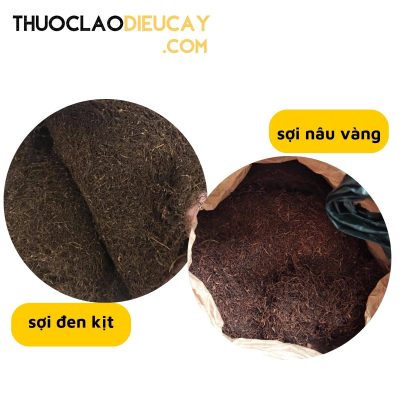 Cách phân biệt thuốc lào tẩm hồ