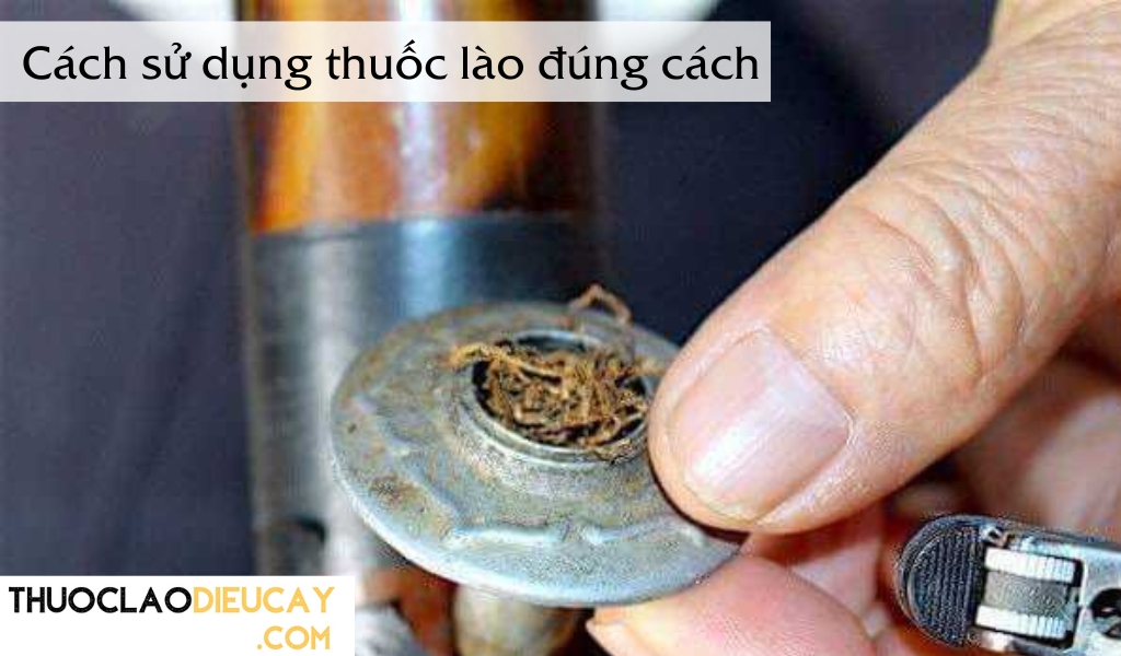 cách sử dụng thuốc lào